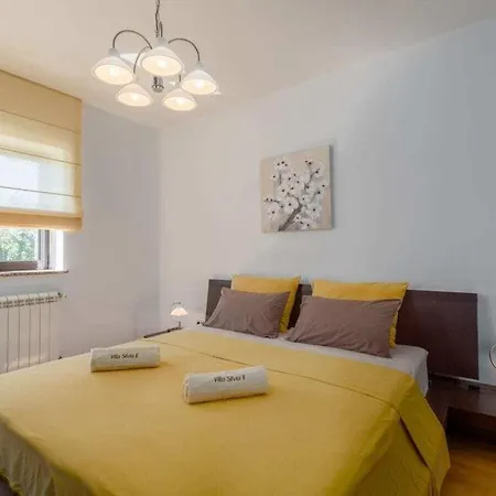Mihael With Private Pool Holiday home Vizinada